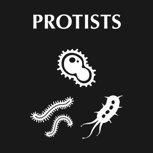Protists unicellular organisms T-Shirt