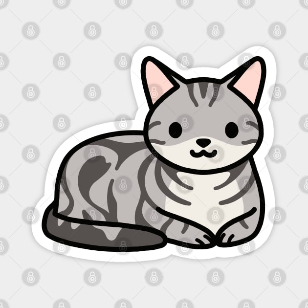 American Shorthair Cat Magnet by littlemandyart