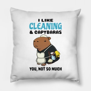 I Like Cleaning and Capybaras you not so much Pillow