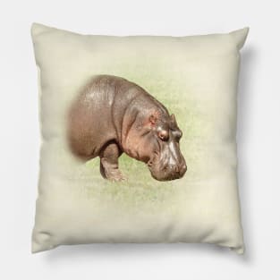 Hippopotamus Pillow