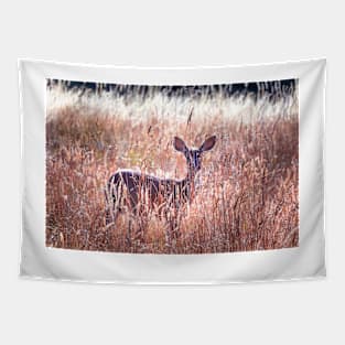 Deer in wild grass Tapestry