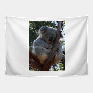 Koala Tapestry