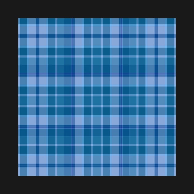 Blue Plaid Pattern by BoldNFresh