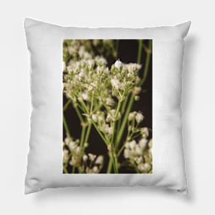 Babys Breath Pillow