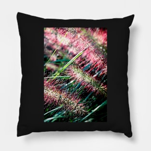 Purple Fountain Grass Pillow