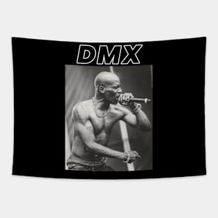 DMX Tapestry