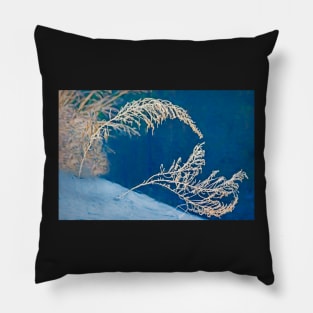 Winter Lace Pillow