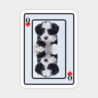 Maltese Terrier Queen Of Hearts Magnet