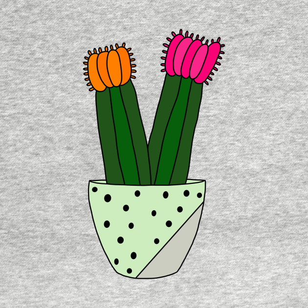 Cute Cactus Design 166 Hybrid Cacti In Painted Concrete Pot