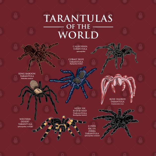 Tarantulas Of The World by maxdax