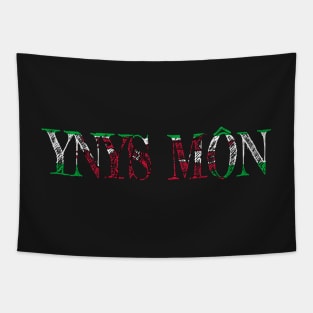 YNYS MON WELSH FLAG Tapestry