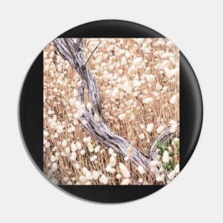 Grasses, dead wood Pin