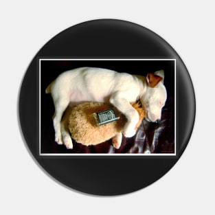 Wasted puppy - cute Jack Russell Terrier Pin