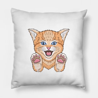 Copy of Never trust a man who doesn't like cats Pillow