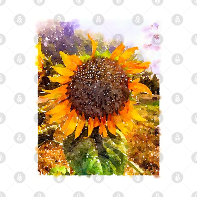 Sunflower Watercolor Painting by Watery