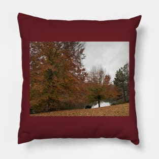 Fall leaves Pillow