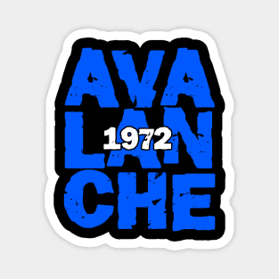 Avalenche denver Magnet