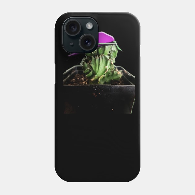 Cool Cactus Phone Case by IanWylie87