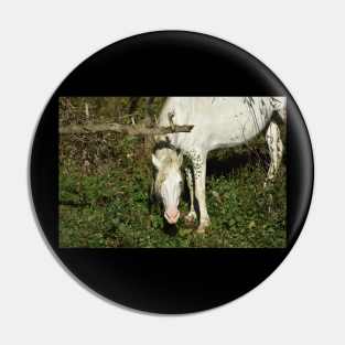 Wild Horse Pin