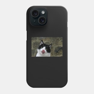 Benny Boy Phone Case