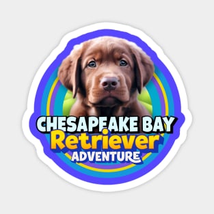 Chesapeake Bay Retriever Magnet