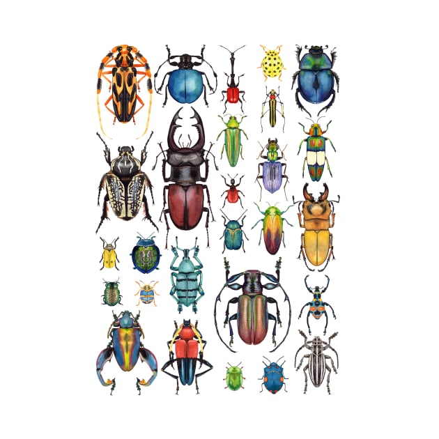 Beetle Collection by Oh Hokey Pokey