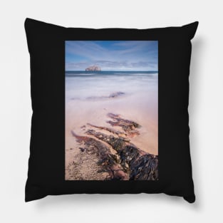 Seacliff Tide Pillow