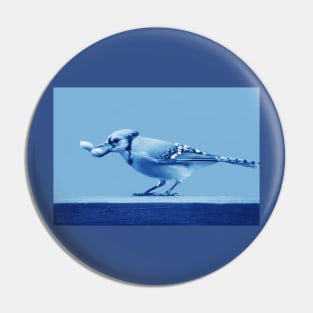 Blue Jay Pin