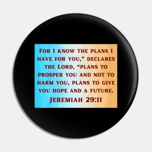 Bible Verse Jeremiah 29:11 Pin