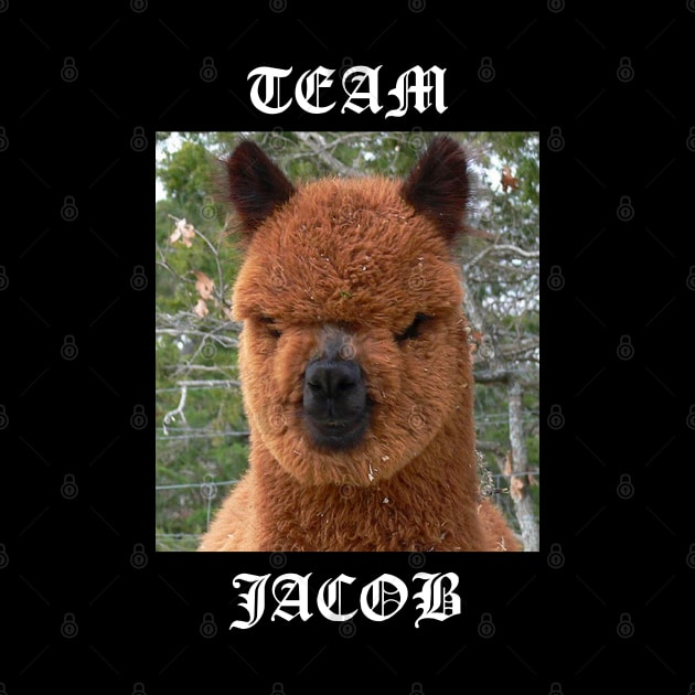 Team Jacob by averymuether