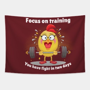 Focus on training you have fight in two days Tapestry