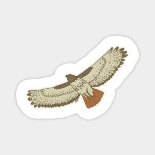 red tailed hawk Magnet