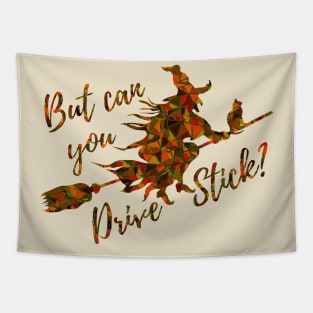 But Can You Drive Stick? She can witches! Halloween Witch on a Broom Orange Tapestry