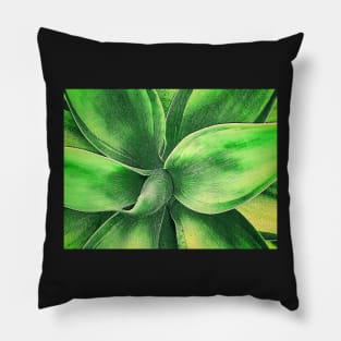 Agave Pillow