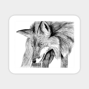 Hand drawn fox Magnet