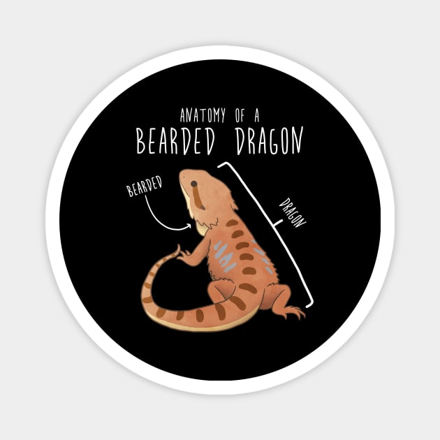 Bearded Dragon Lizard Reptile Anatomy - Bearded Dragon - Magnet