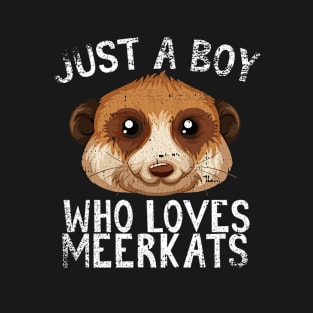 Just A Boy Who Loves Meerkats T-Shirt