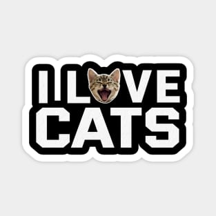 I LOVE CATS V.1 Magnet