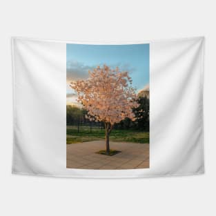 Cherry Blossom 7 Tapestry