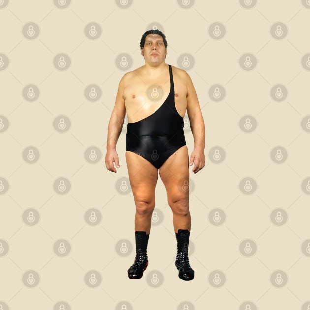 Andre The Giant by DankFutura
