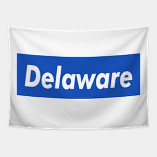 Delaware Box Logo Tapestry