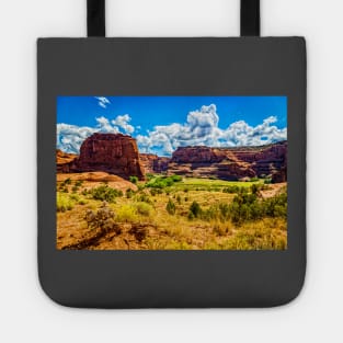 Canyon de Chelly National Monument Tote