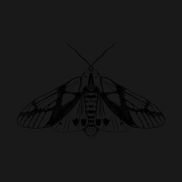 Tiger Moth by MugDesignStore