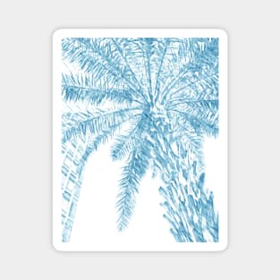 palm tree Magnet