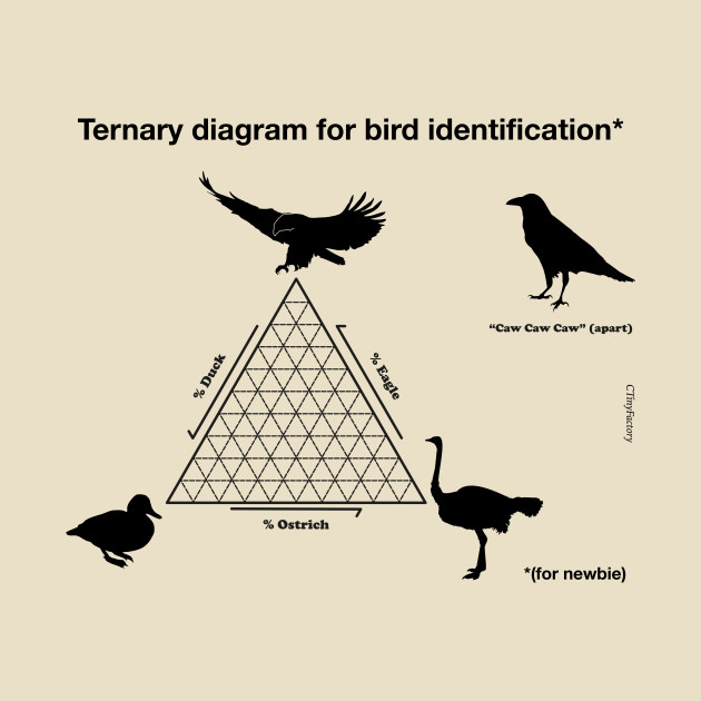 My bird identification diagram by CTinyFactory