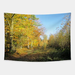 Vibrant Autumn Walk Tapestry