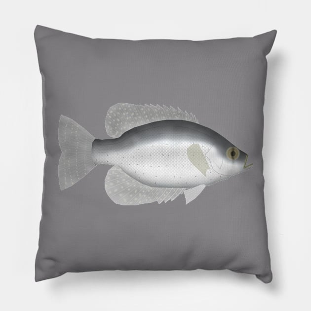 Flier Sunfish Pillow by FishFolkArt