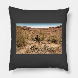 Apache Trail Scenic Drive View Pillow