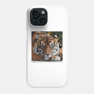 Sumatran Tiger Phone Case