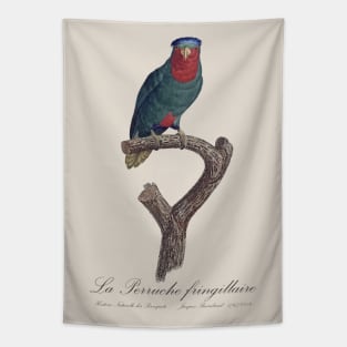 La Perruche Fringillaire Parakeet - Jacques Barraband 19th century Illustration Tapestry